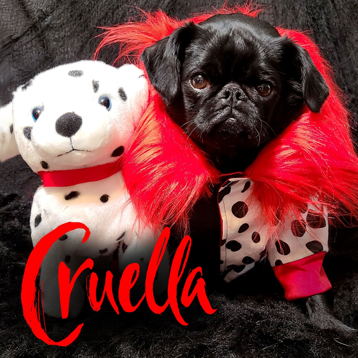 Blouson Cruella, pour chien