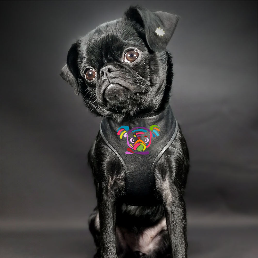 Harnais pour chien en simili cuir