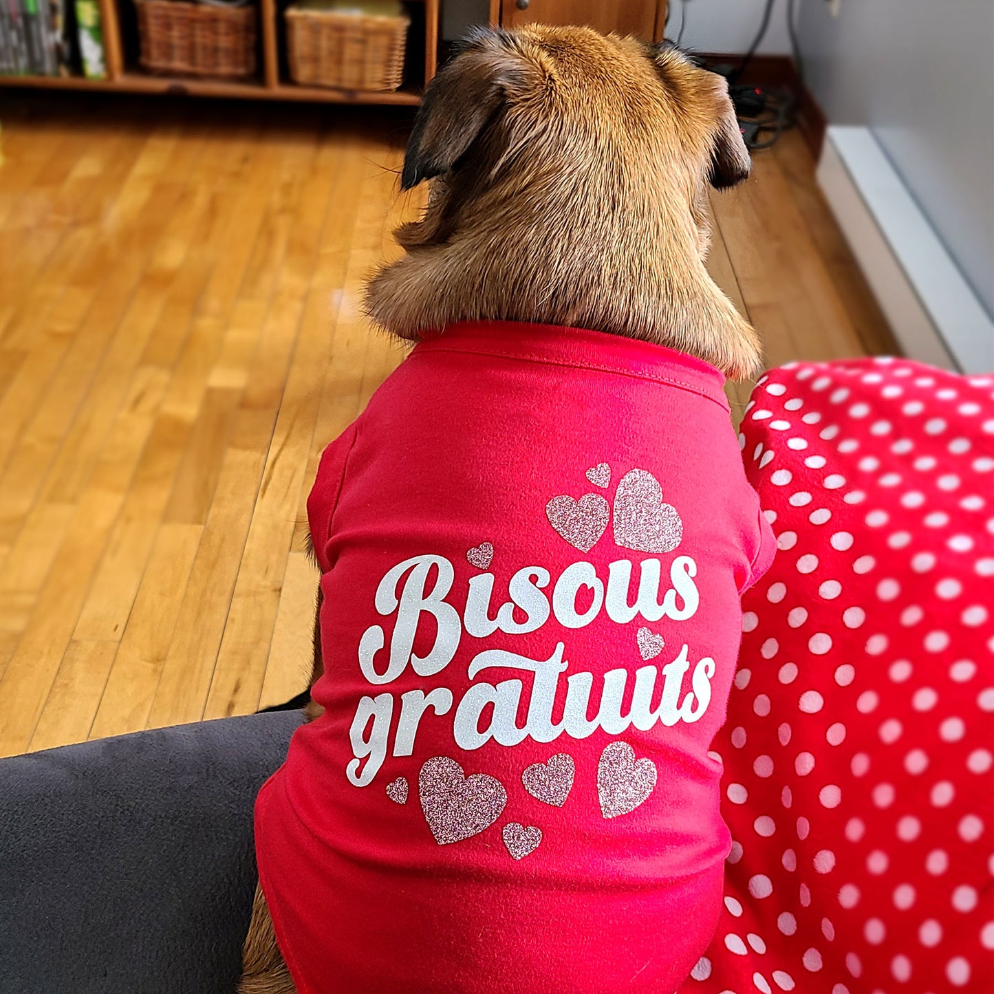 Bisous gratuits, t-shirt pour chien