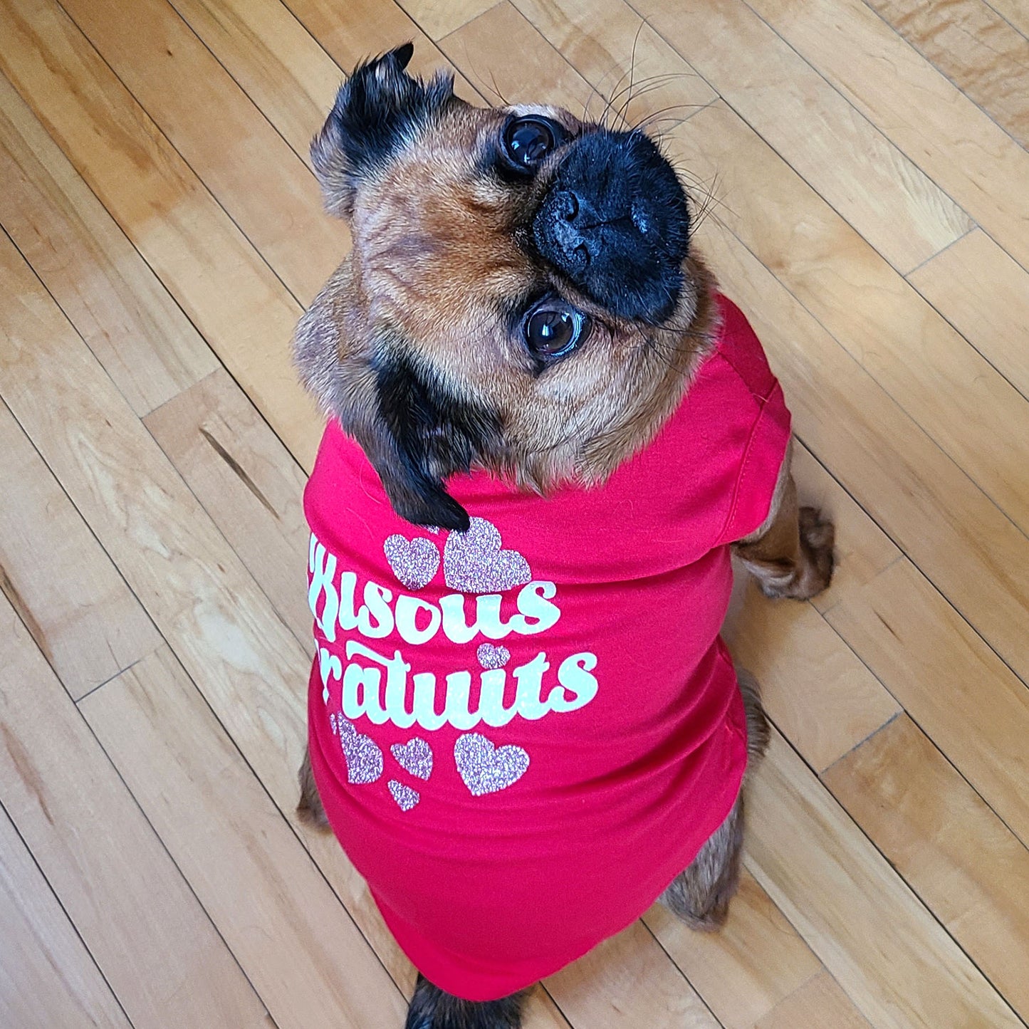 Bisous gratuits, t-shirt pour chien