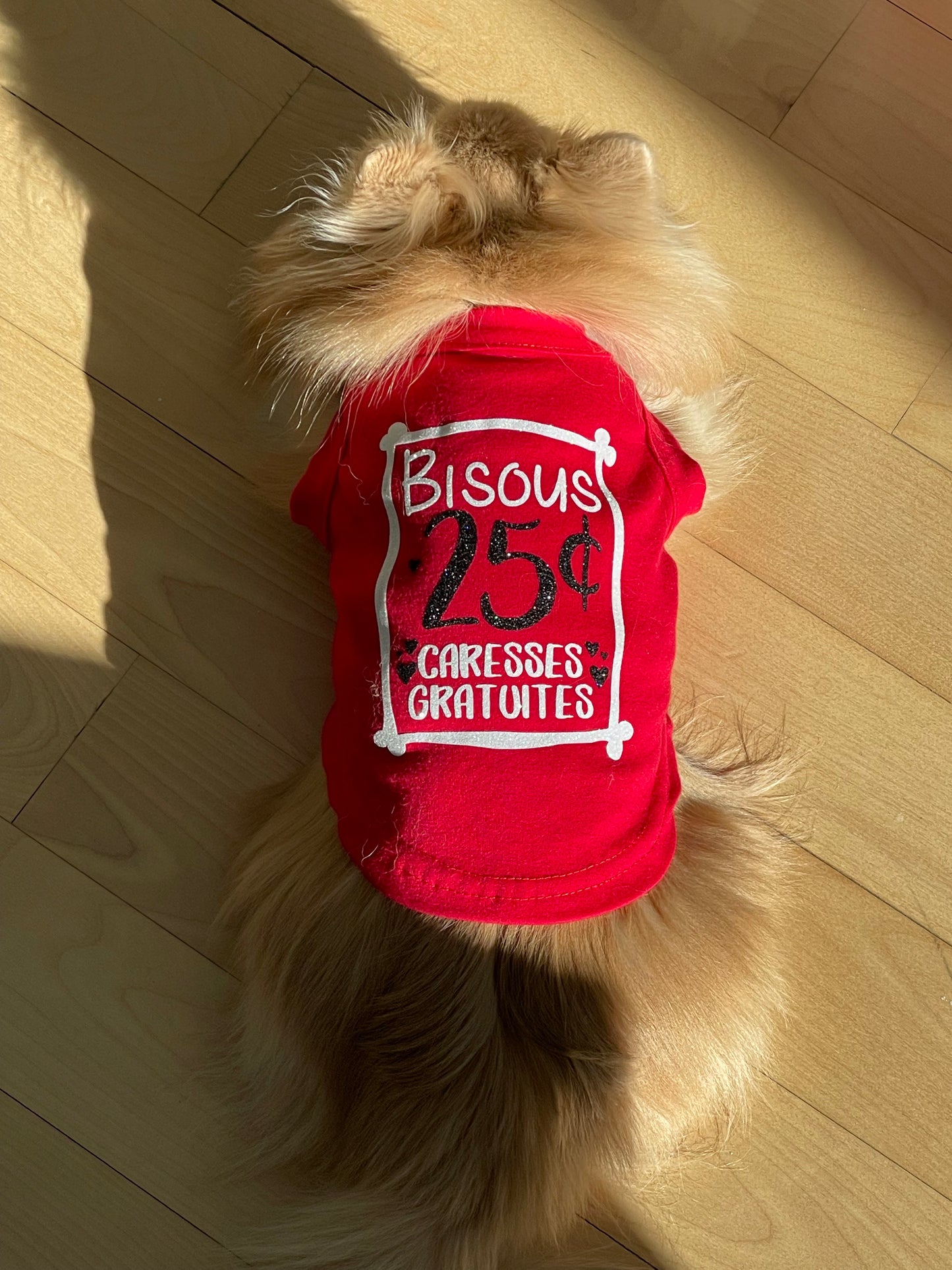 Bisous 25 sous, t-shirt pour chien