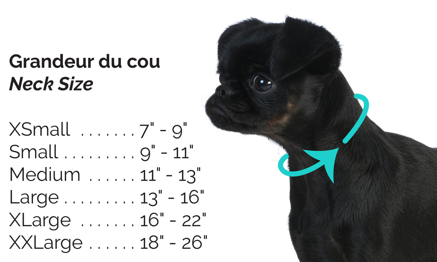 Collier pour chien, Élegance satin