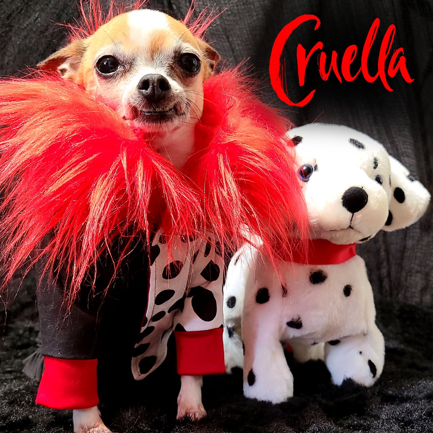 Blouson Cruella, pour chien