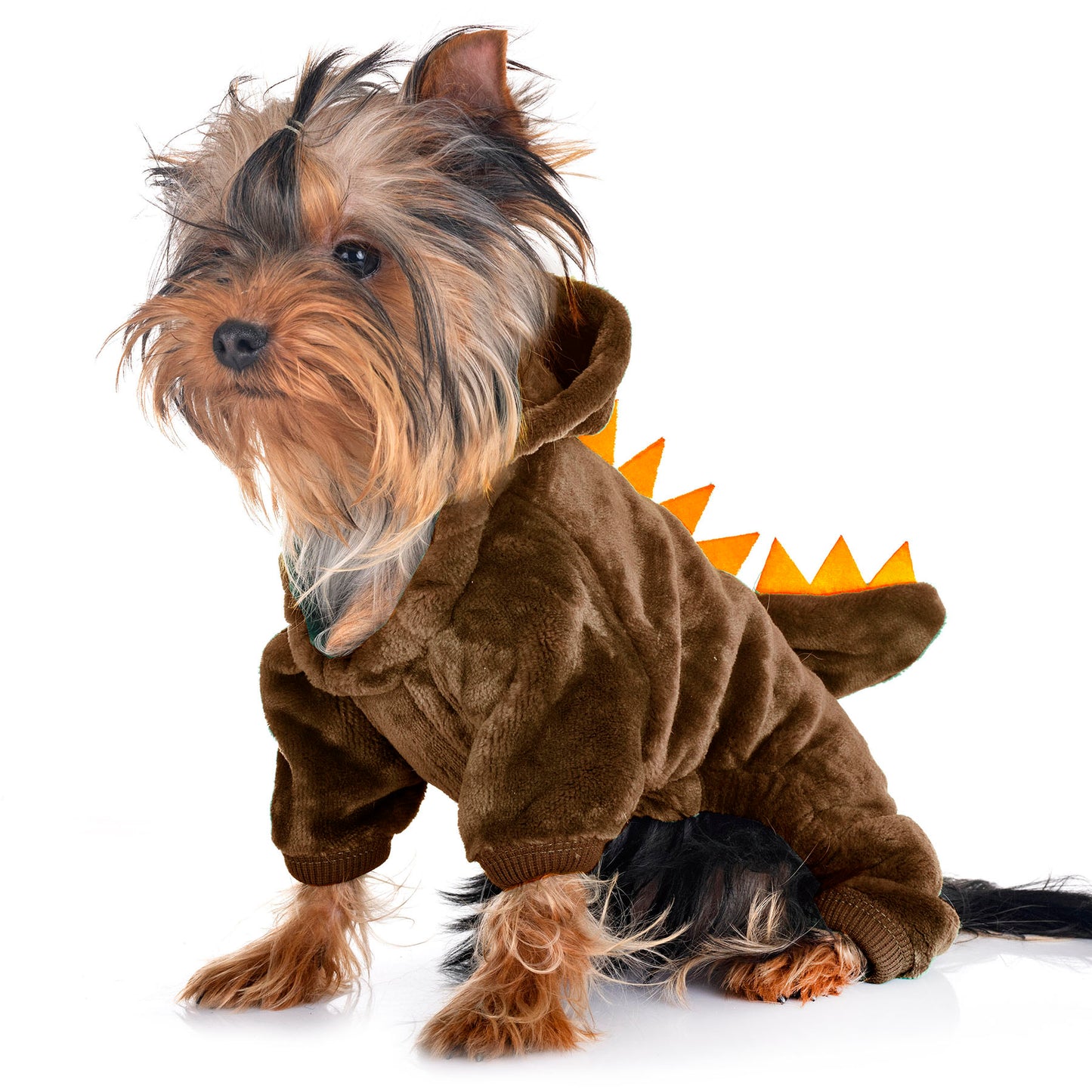 Pyjama dinosaure, pour chiens