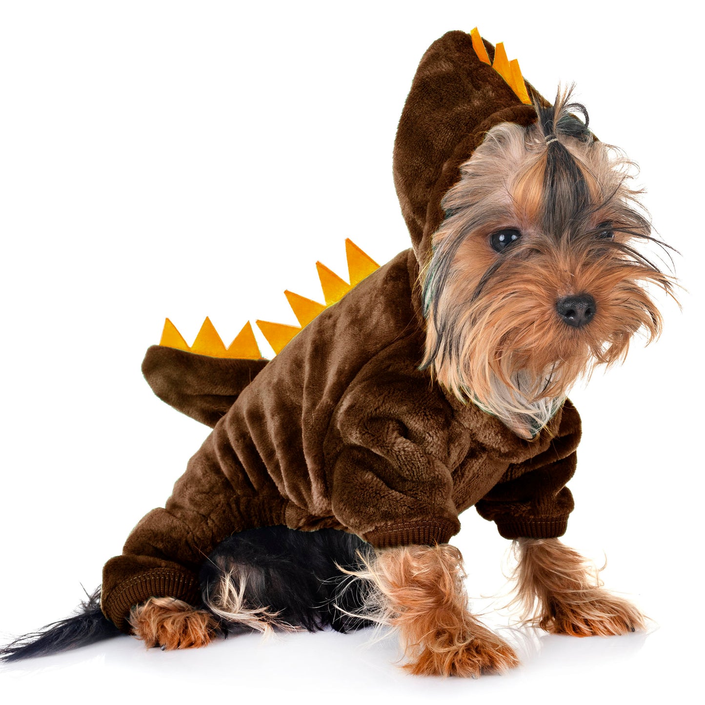 Pyjama dinosaure, pour chiens