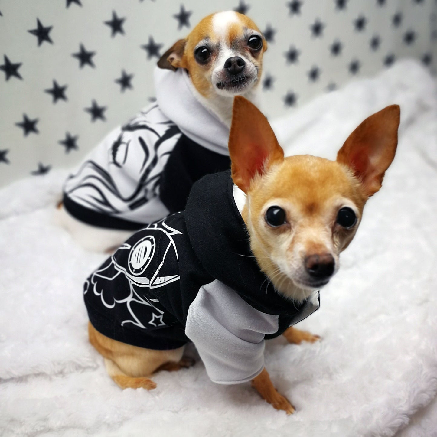 Blouson Pop Art, pour chien