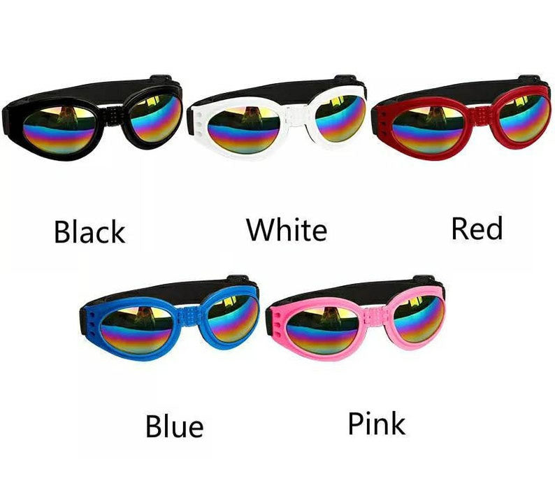 Lunettes pour chien