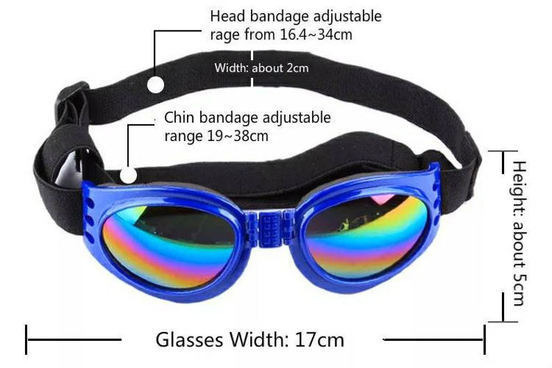 Lunettes pour chien