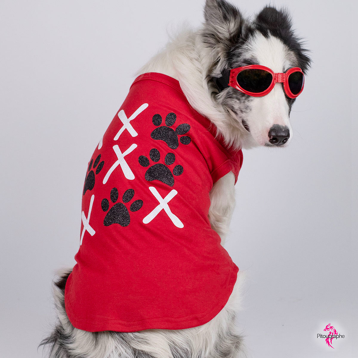 Amour XOXO, t-shirt pour chien