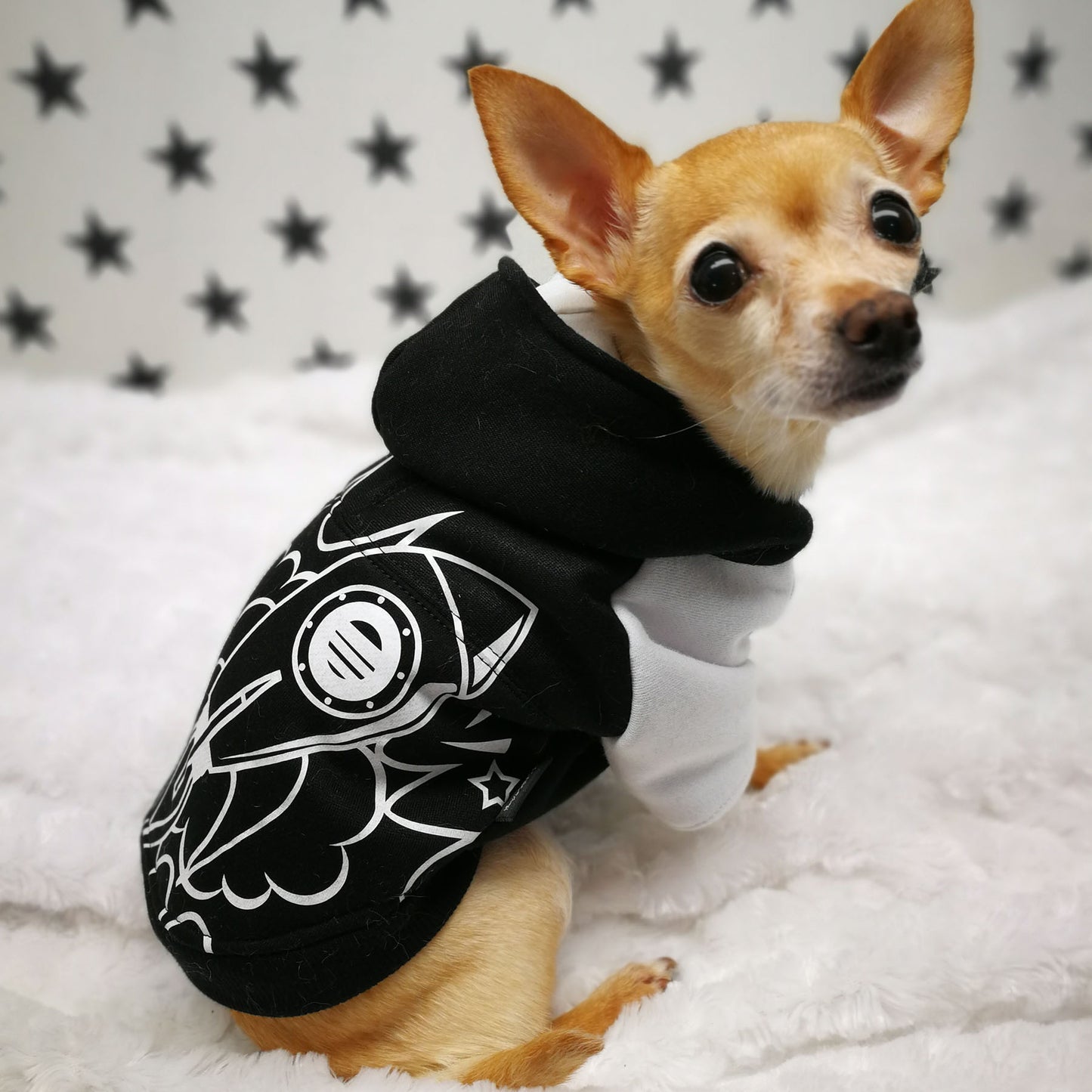 Blouson Pop Art, pour chien