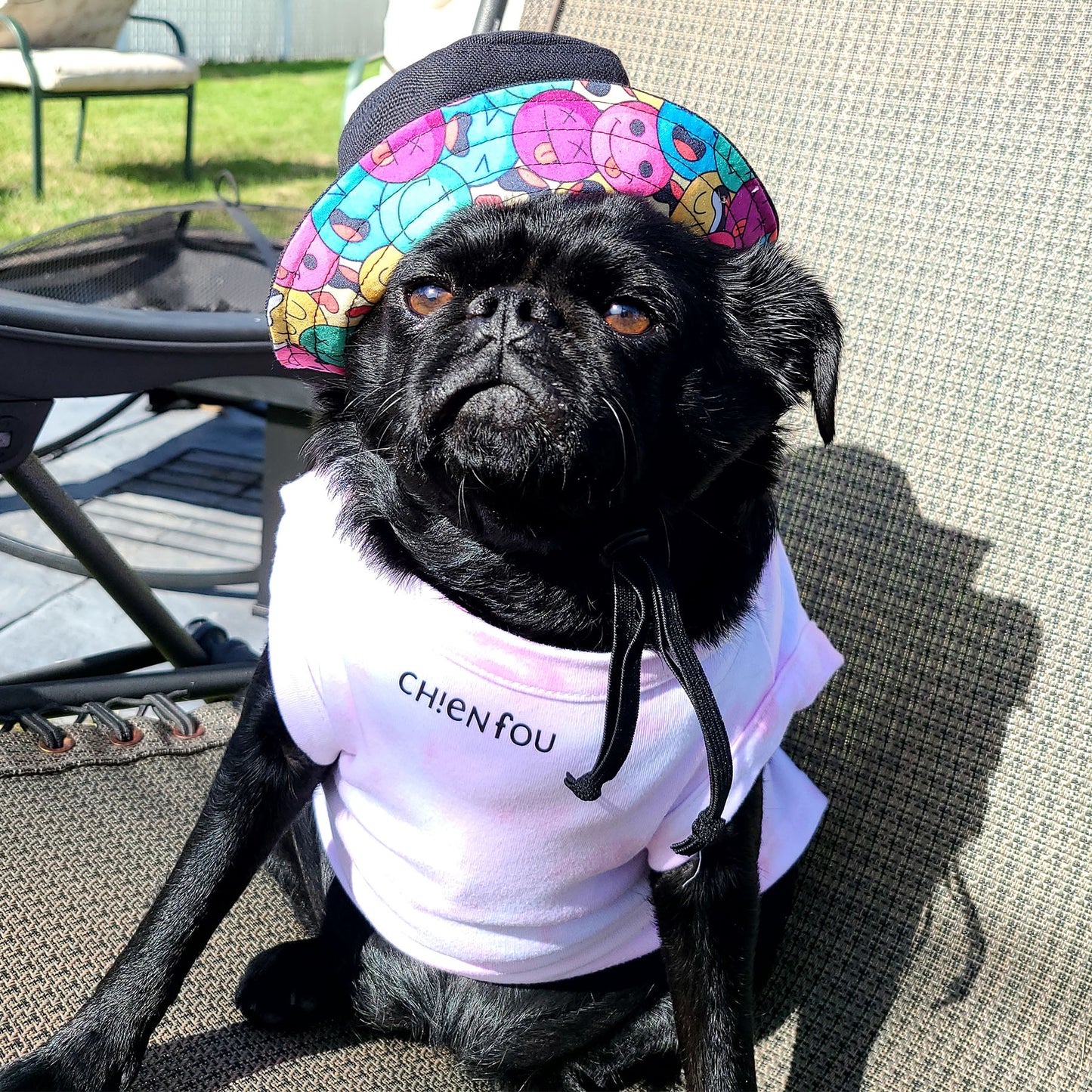 Bonnet Guilligan noir, pour chien