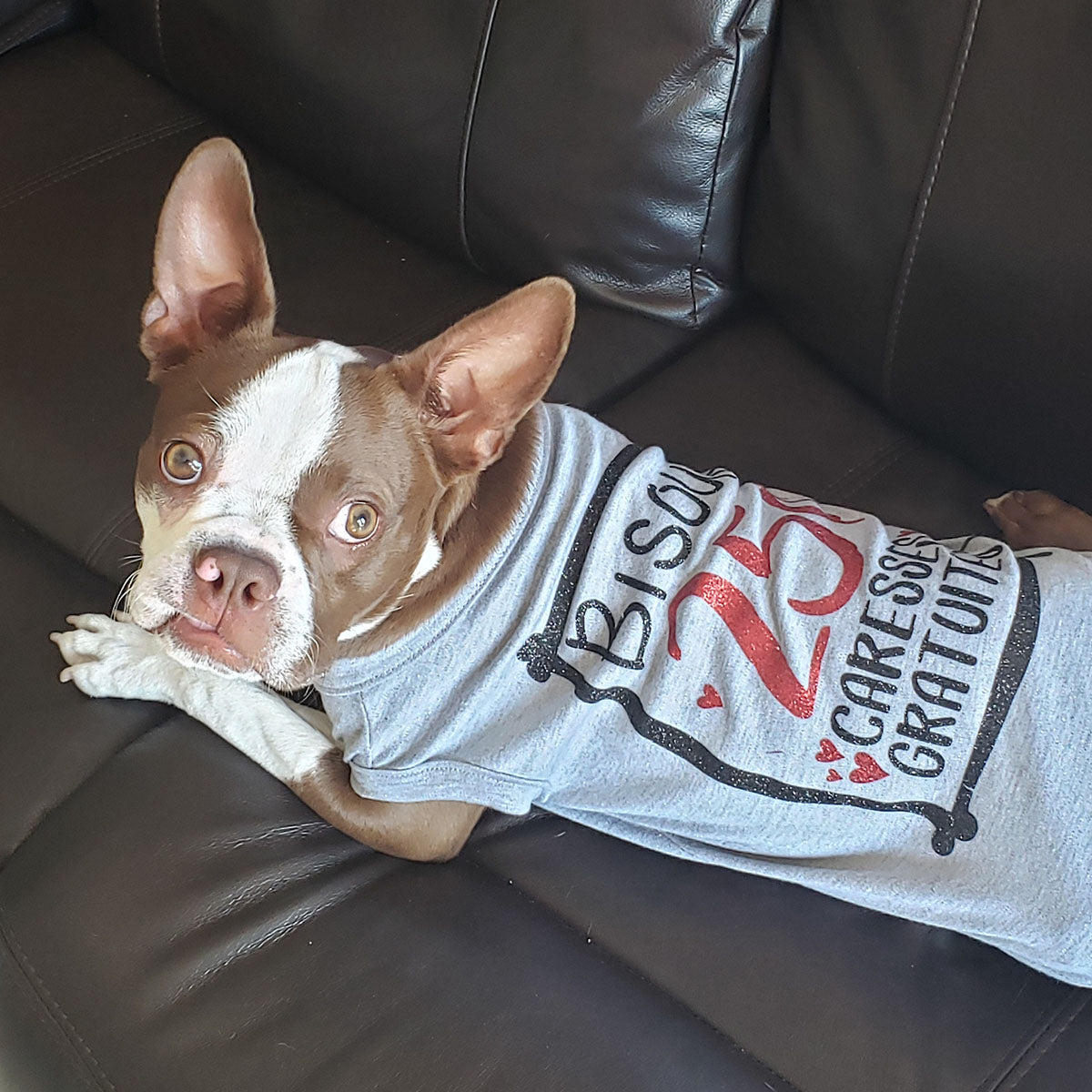 Bisous 25 sous, t-shirt pour chien