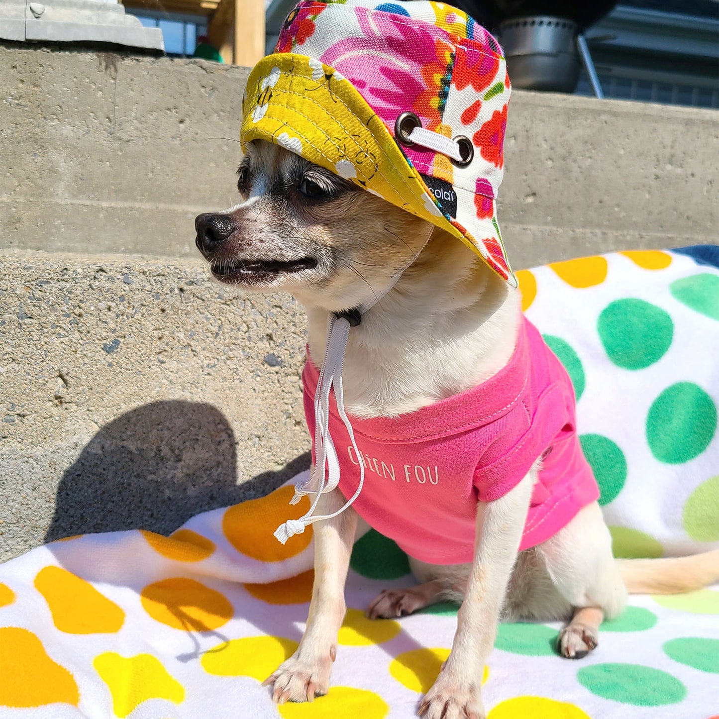 Bonnet Guilligan fleur, pour chien