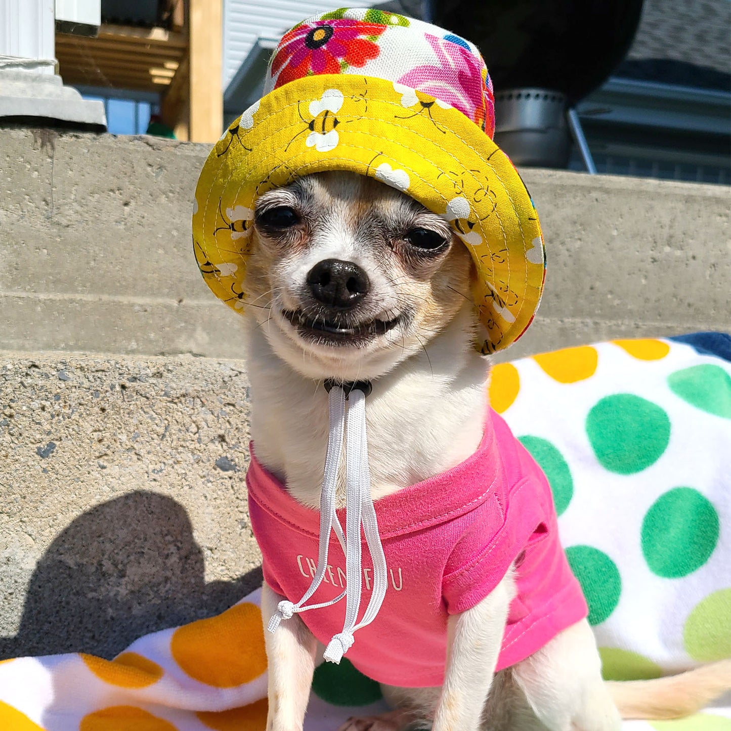Bonnet Guilligan fleur, pour chien