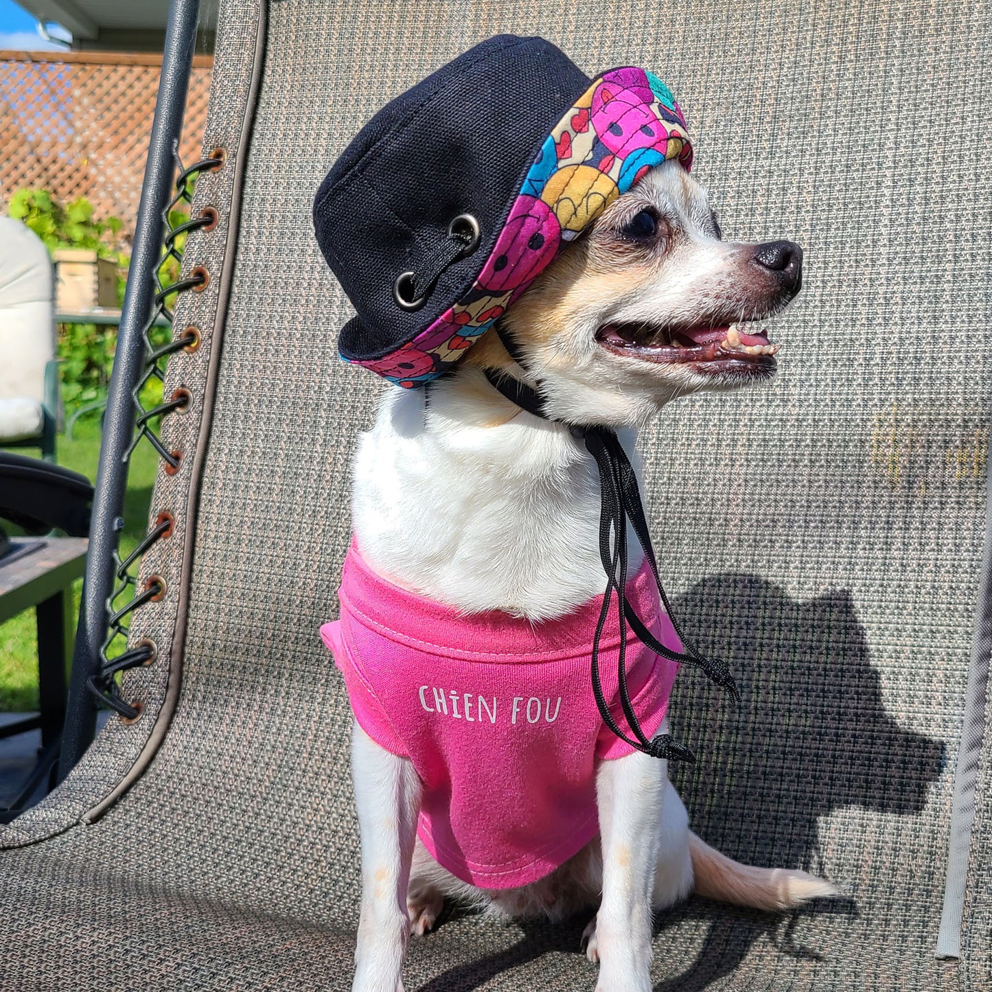 Bonnet Guilligan noir, pour chien