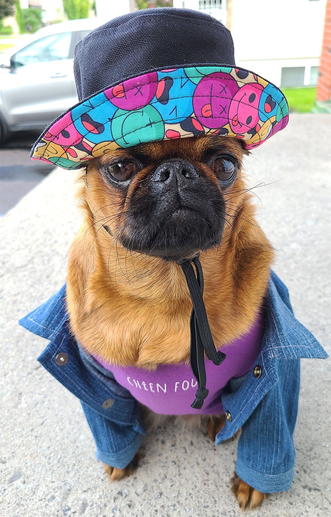 Bonnet Guilligan fleur, pour chien