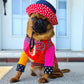 Bonnet Guilligan en jeans, pour chien
