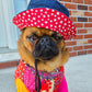Bonnet Guilligan en jeans, pour chien