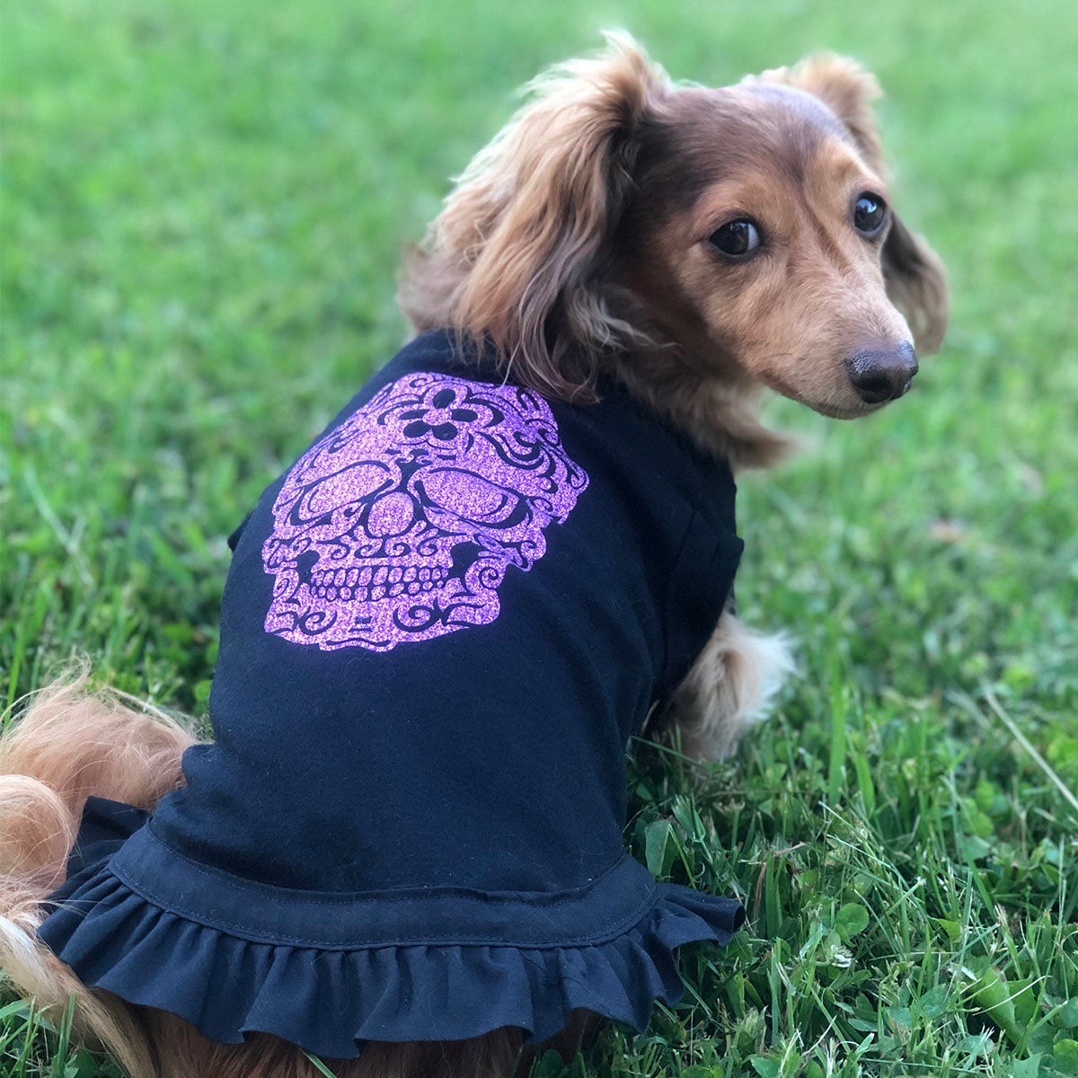 Sugar Skull | t-shirt pour chien