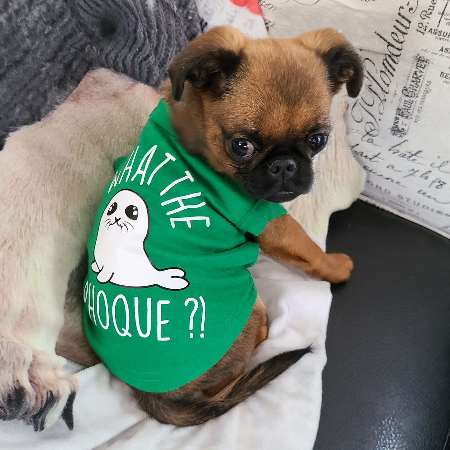 What the phoque, t-shirt pour chien