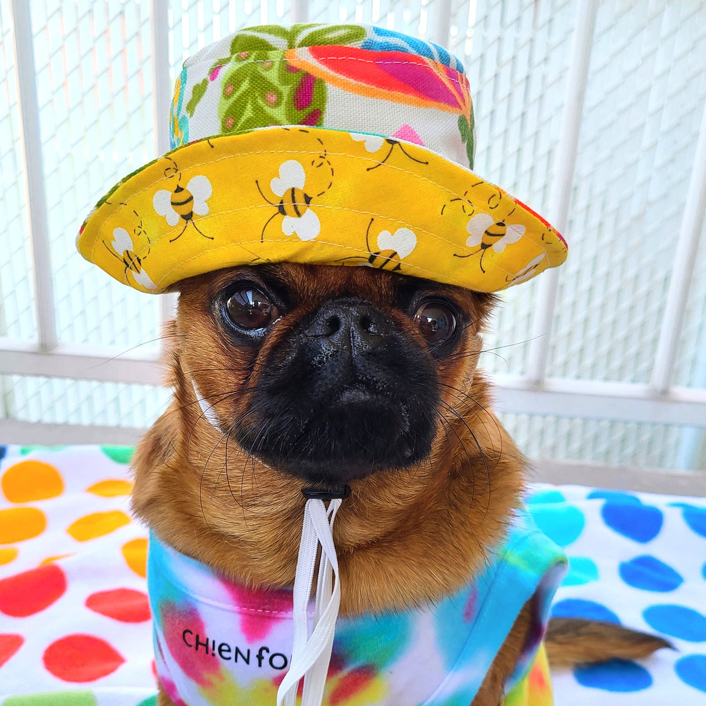 Bonnet Guilligan fleur, pour chien