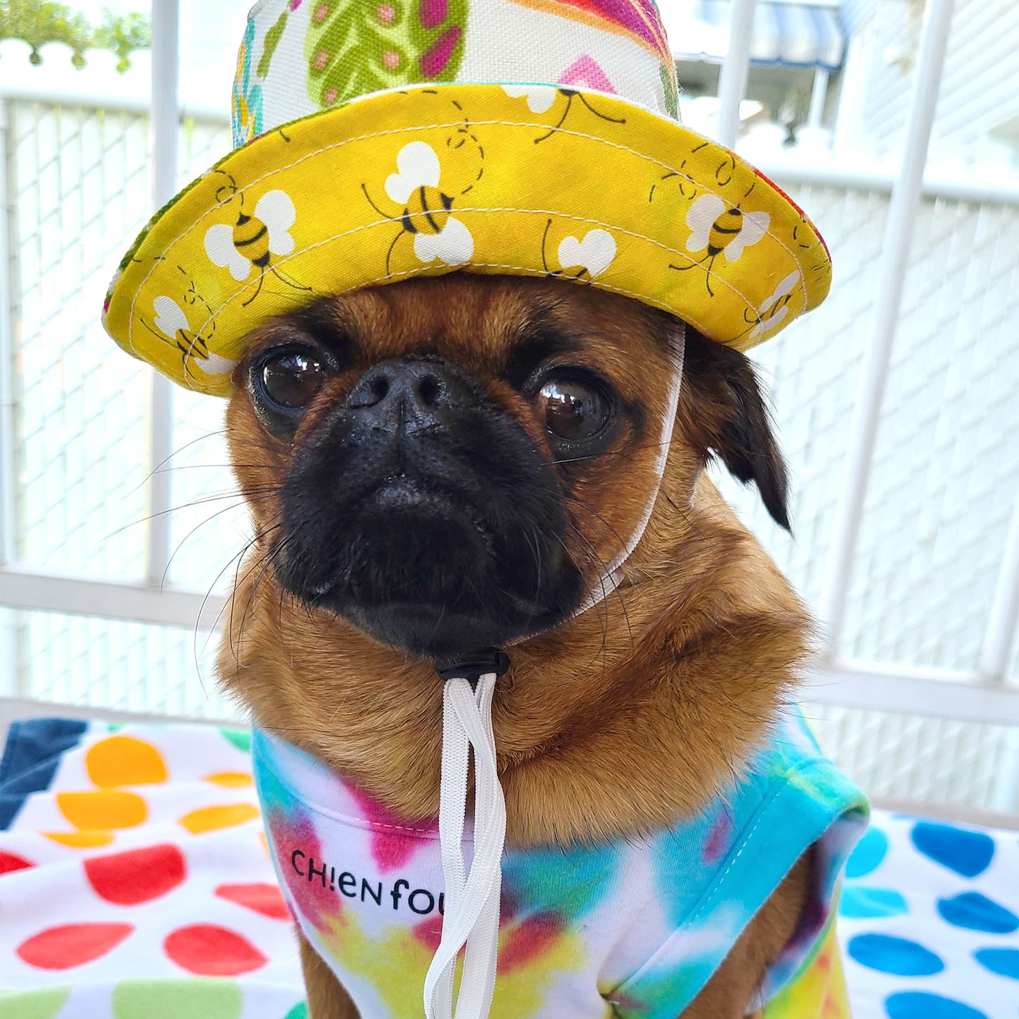 Bonnet Guilligan fleur, pour chien