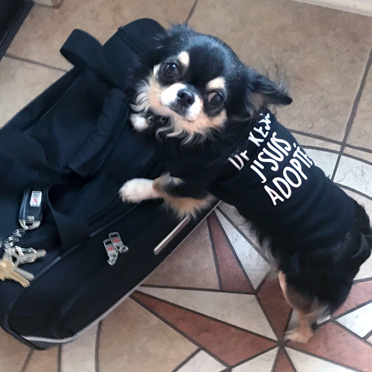 De kessé, j'suis adopté, t-shirt pour chien