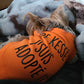 De kessé, j'suis adopté, t-shirt pour chien