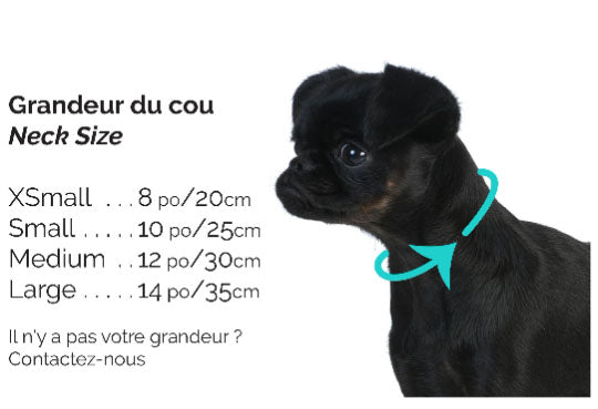 Collier de perles pendentif beigne, pour chien