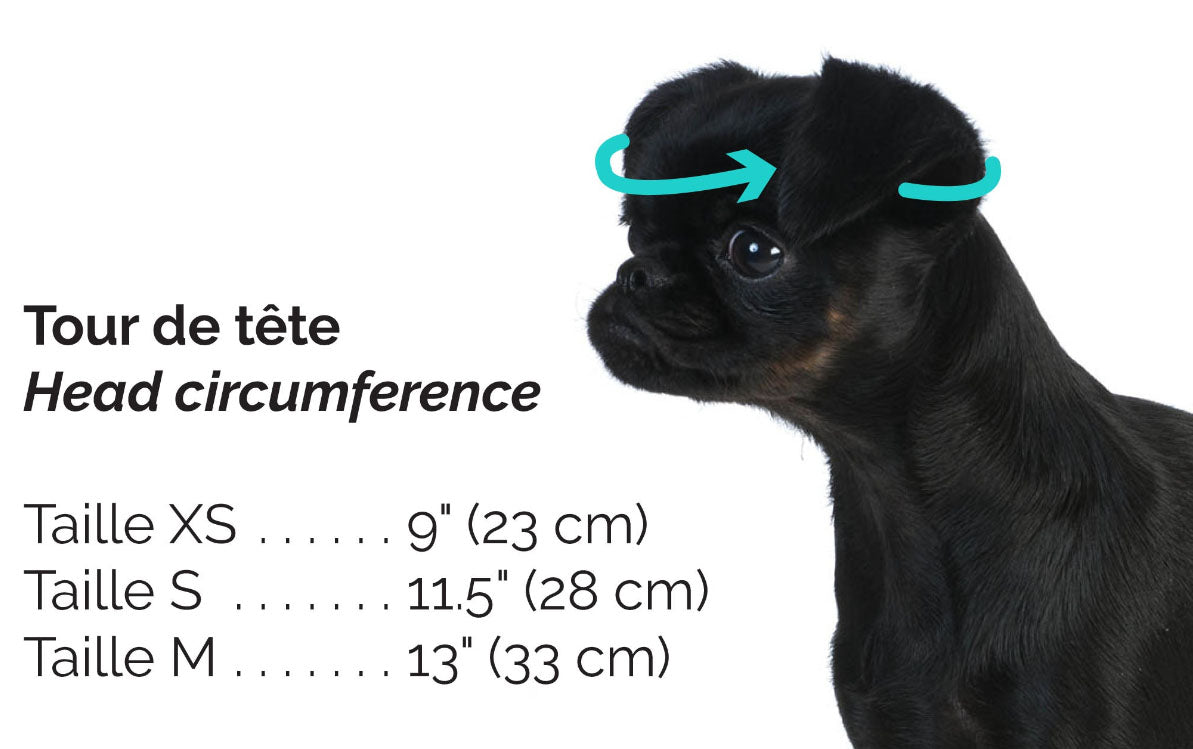Bonnet Guilligan fleur, pour chien