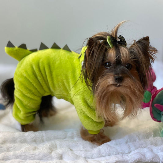 Pyjama dinosaure, pour chiens