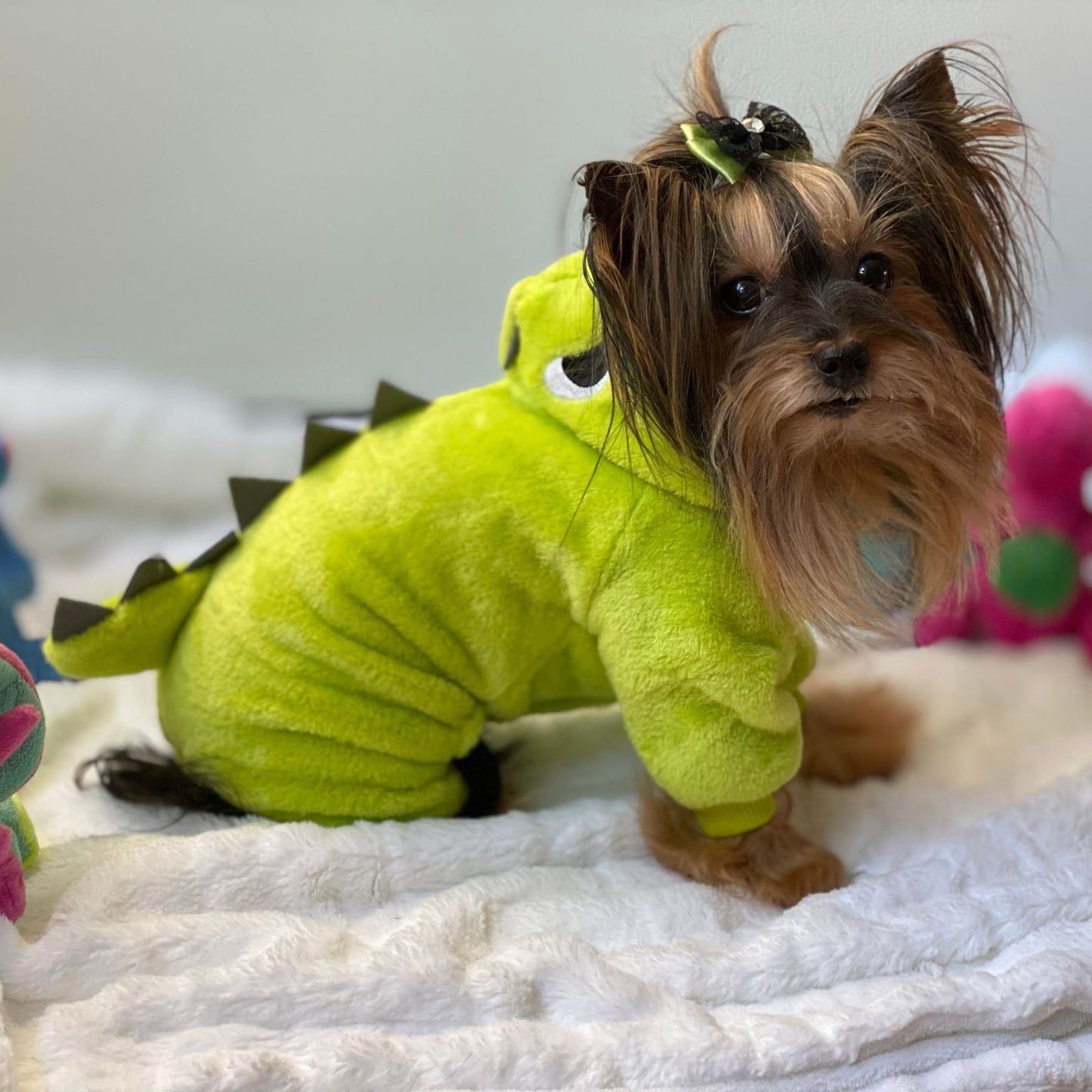 Pyjama dinosaure, pour chiens