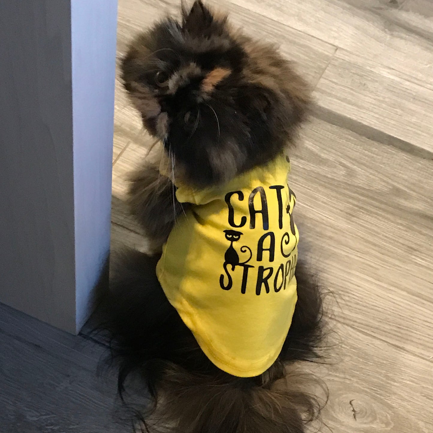 Cat-a-strophe, t-shirt pour chat