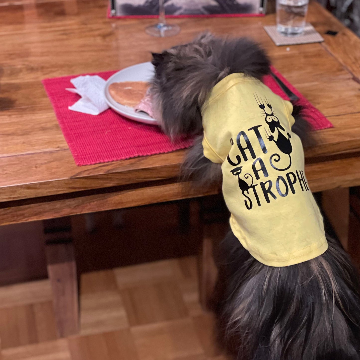 Cat-a-strophe, t-shirt pour chat