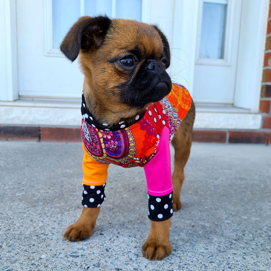 Gilet FUNKY, pour chien