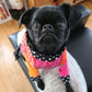 Gilet FUNKY, pour chien