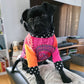 Gilet FUNKY, pour chien