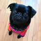 Gilet FUNKY, pour chien