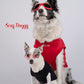 Lunettes pour chien