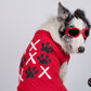 Lunettes pour chien
