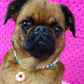 Collier de perles pendentif beigne, pour chien