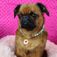 Collier de perles pendentif beigne, pour chien