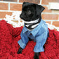 Veste de jeans pour chien