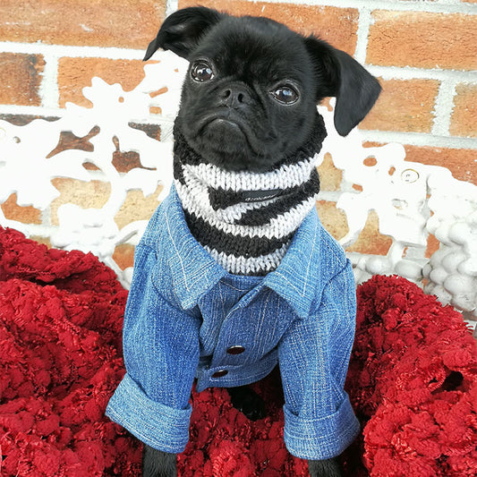 Veste de jeans pour chien