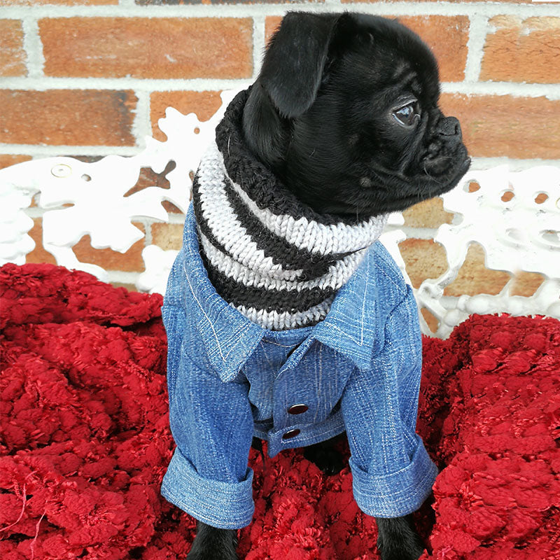 Manteau pour petit chien - Veste en jean Fashion pour chien