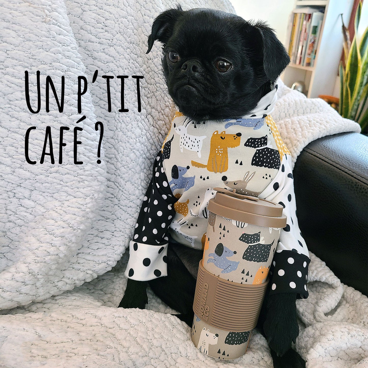 Gilet Pitou à pois, pour chien