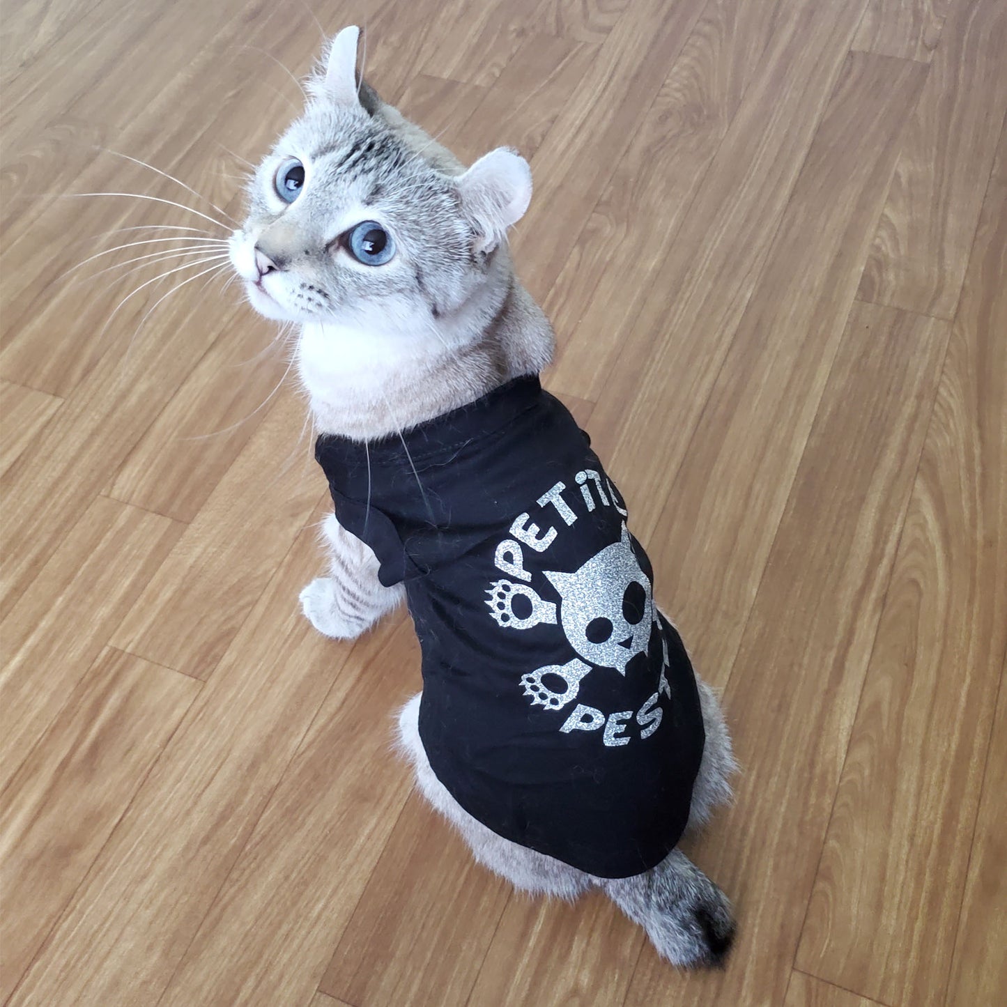 Petite peste, t-shirt pour chat