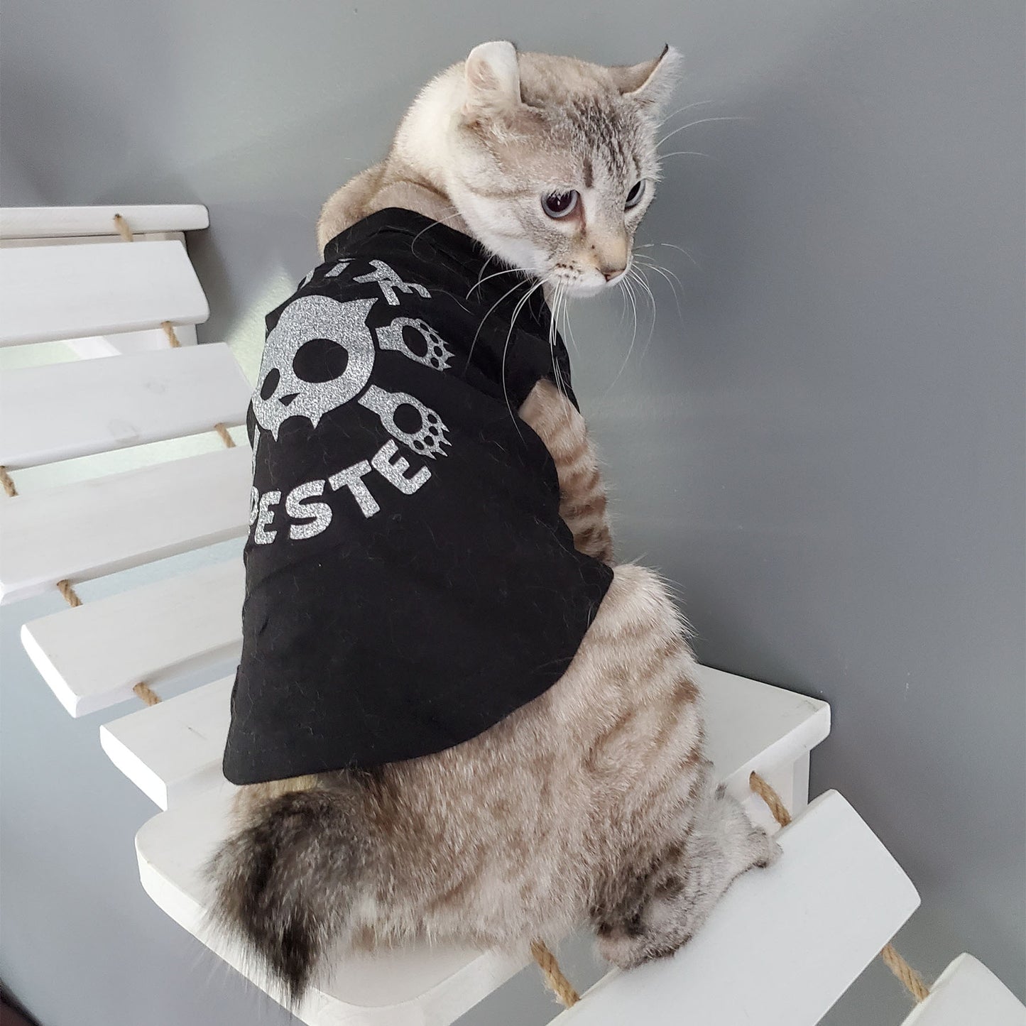 Petite peste, t-shirt pour chat
