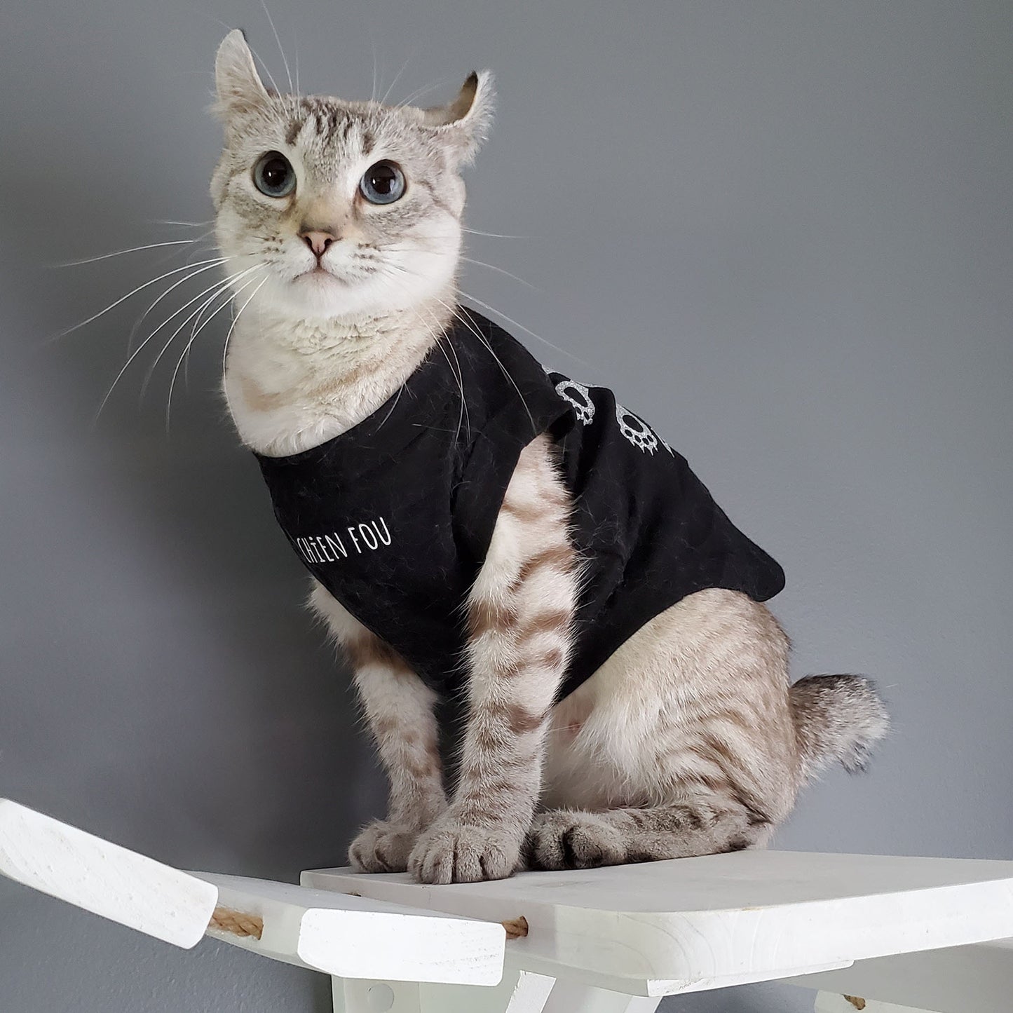 Petite peste, t-shirt pour chat