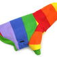 Blouson arc-en-ciel, pour chien